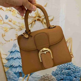 Delvaux Brillant Mini Bag in Brown Rodeo Calf Leather