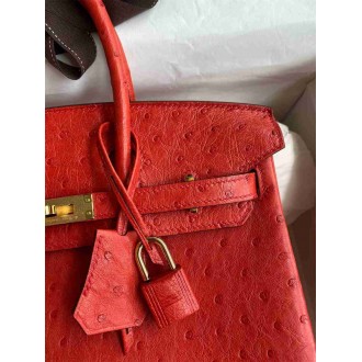 Hermes Birkin 25 Retourne Handmade Bag In Red Ostrich Leather